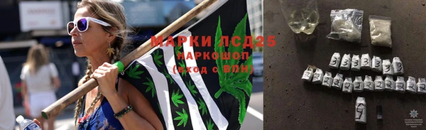 PSILOCYBIN Покачи