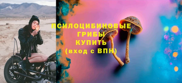 PSILOCYBIN Волосово