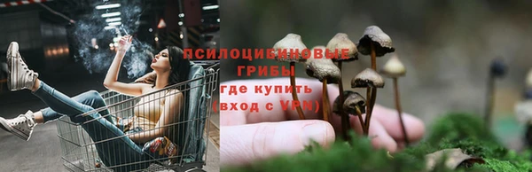 молекула духа Верея