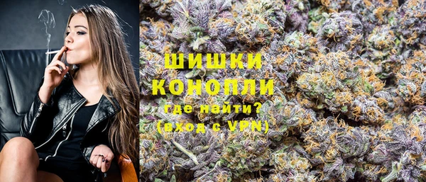 PSILOCYBIN Волосово