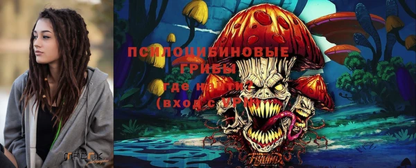 таблы Верхний Тагил