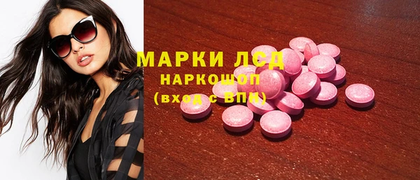 PSILOCYBIN Волосово