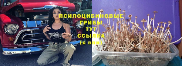 Альфа ПВП Володарск