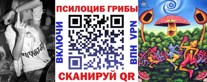 Псилоцибиновые грибы мицелий  где можно купить   mega ссылки  Высоковск 